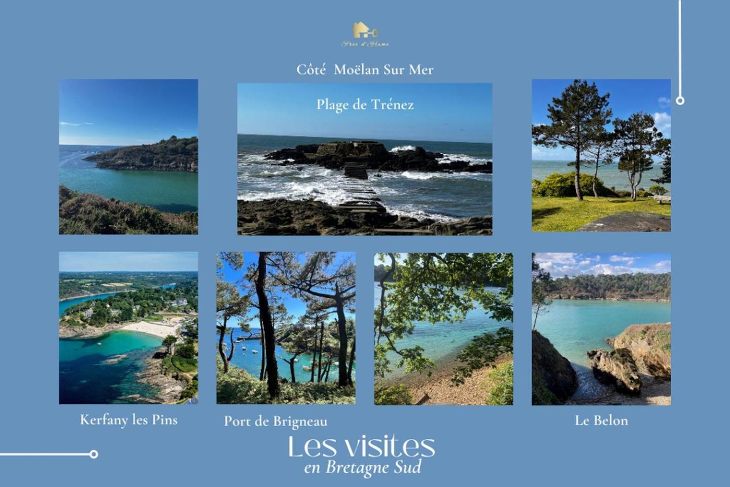 Le Belaven, Neuf, Cosy, Terrasse, Jardin, Kerfany Plage, 1 A 6 Pers Moelan-sur-Mer Exterior foto